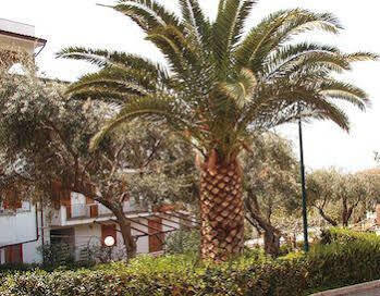 Residence L'Uliveto Gioiosa Marea Bagian luar foto